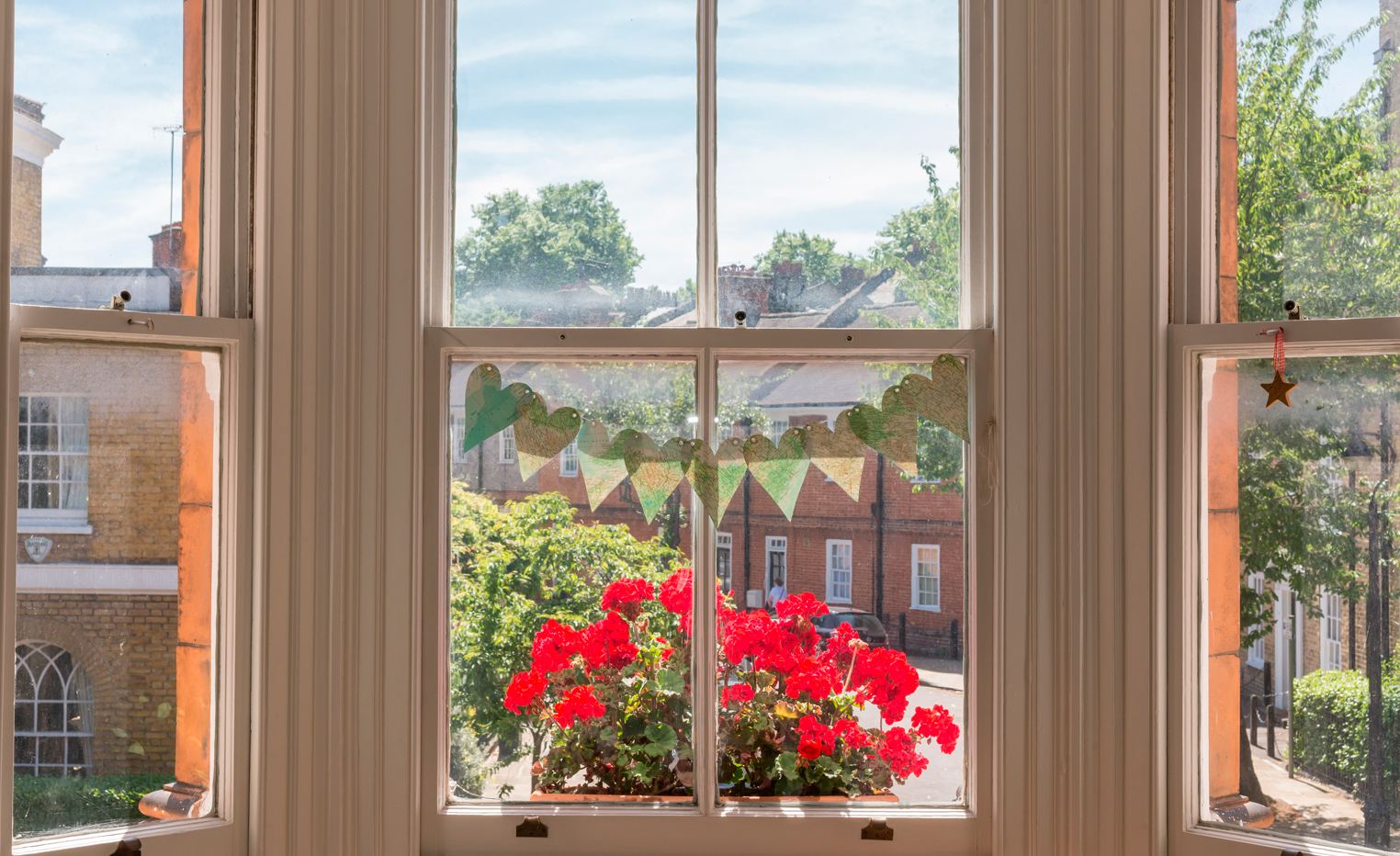 looking out a window, floral view.